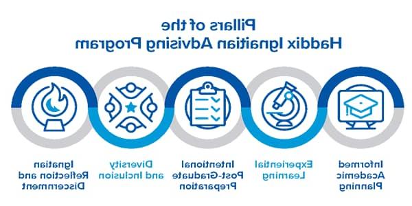 哈迪克斯伊格纳提亚咨询计划的支柱