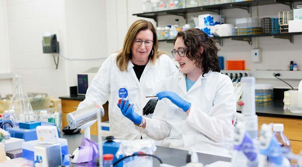 Student and faculty engaged in medicine research